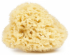 Natural Sponge From Mediterranean Sea, Najel